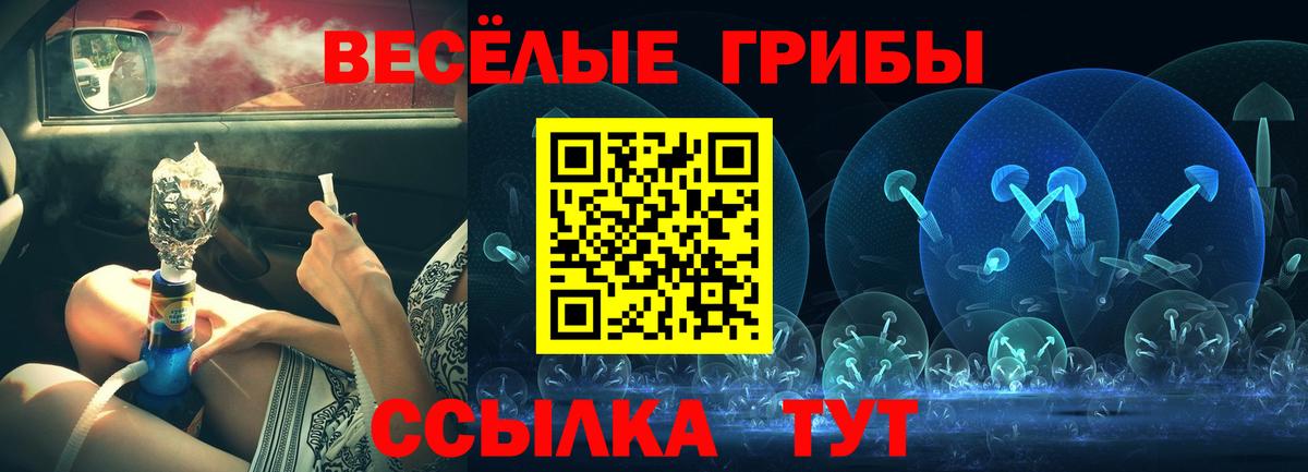 Галлюциногенные грибы Psilocybe Октябрьский